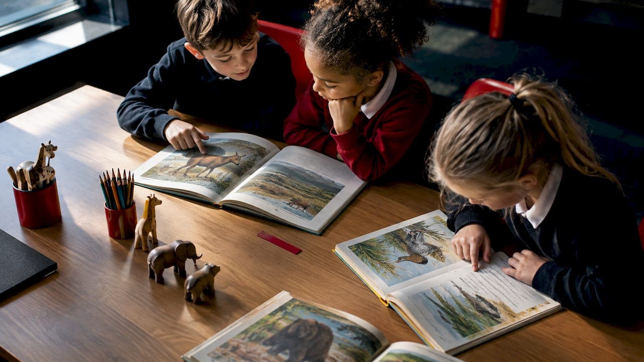 5 Mark Watson Children's Books: Ages, Classroom Uses & Where to Buy
