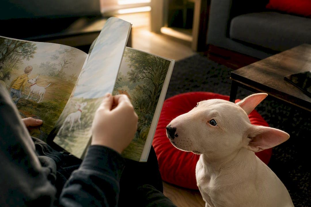 5 Quick Checks for Bull Terrier Stories for Children, with Milo & Ze