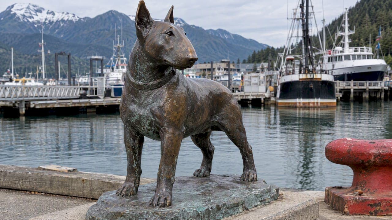 Famous Bull Terriers: From Bud Light Ads to Patsy Ann’s Statue